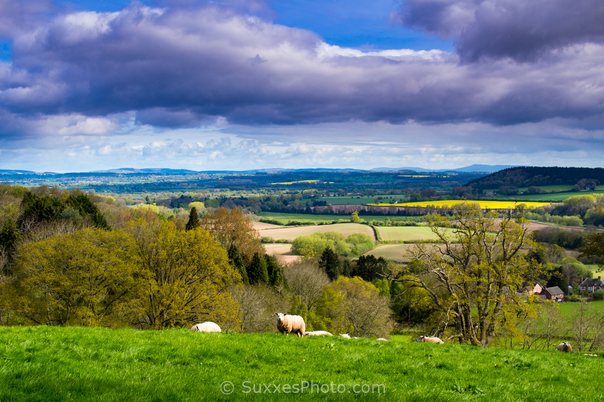 Golden Valley Herefordshire - UK Landscape Photography