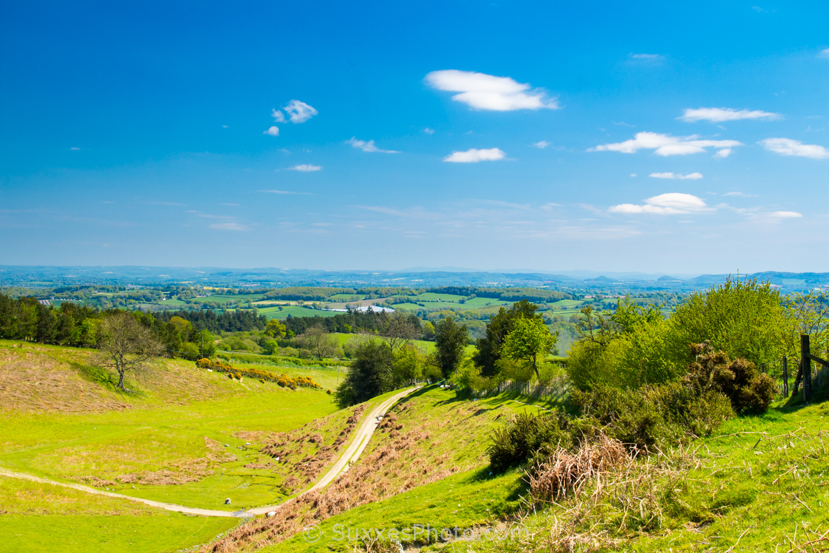 Hergest Ridge Herefordshire 2017-05-07 032 - UK Landscape Photography