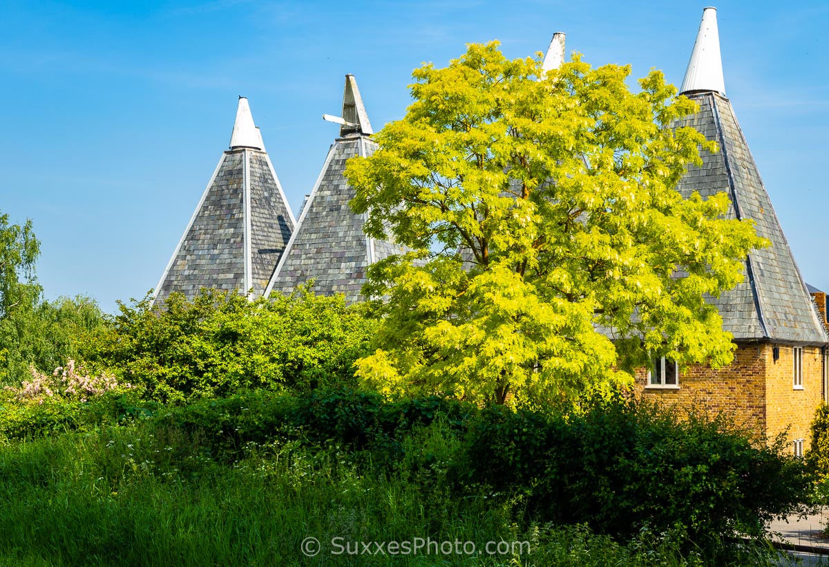 medway kent 2018-05-28 058 - UK Landscape Photography