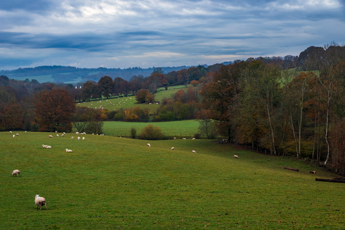 highwealdlandscapetrail UK Landscape Photography