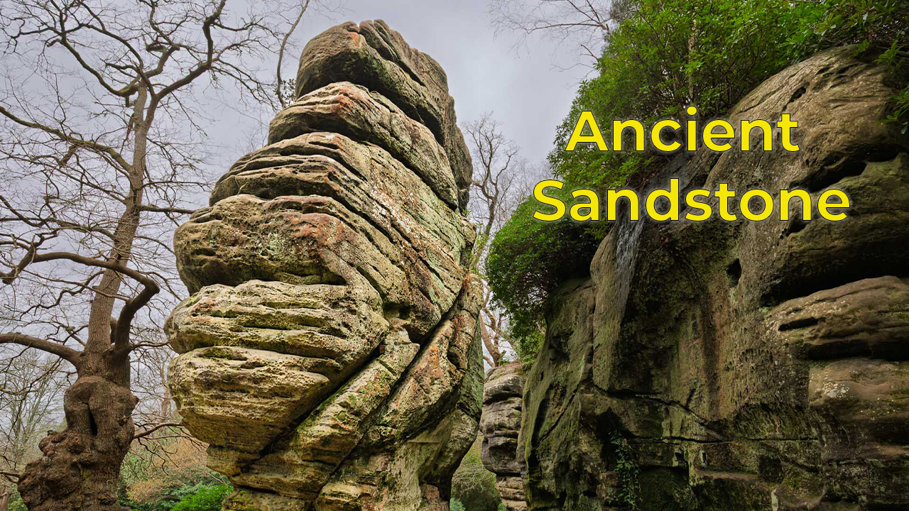 The Sandstone Ridges of the High Weald - UK Landscape Photography